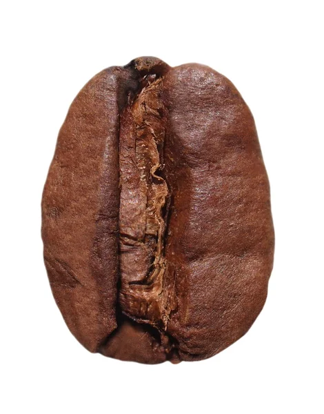 白い背景 (セットに分離されたコーヒー豆) — ストック写真