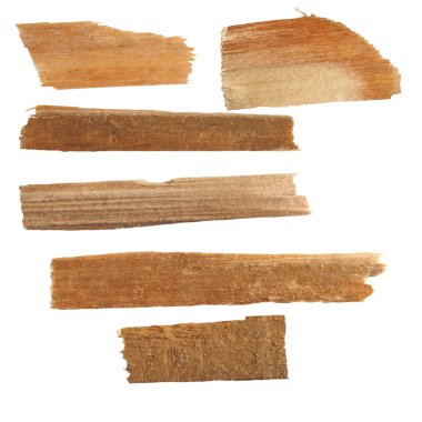 Collection pieces of broken planks of beech isolated on white clipart