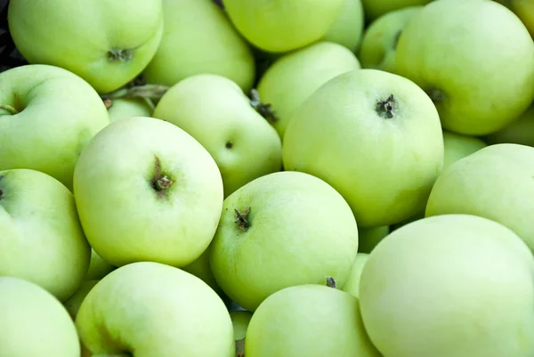 stock image Apple background