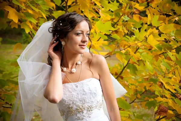 Braut in einem Garten — Stockfoto