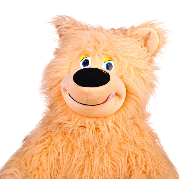 stock image Toy bear