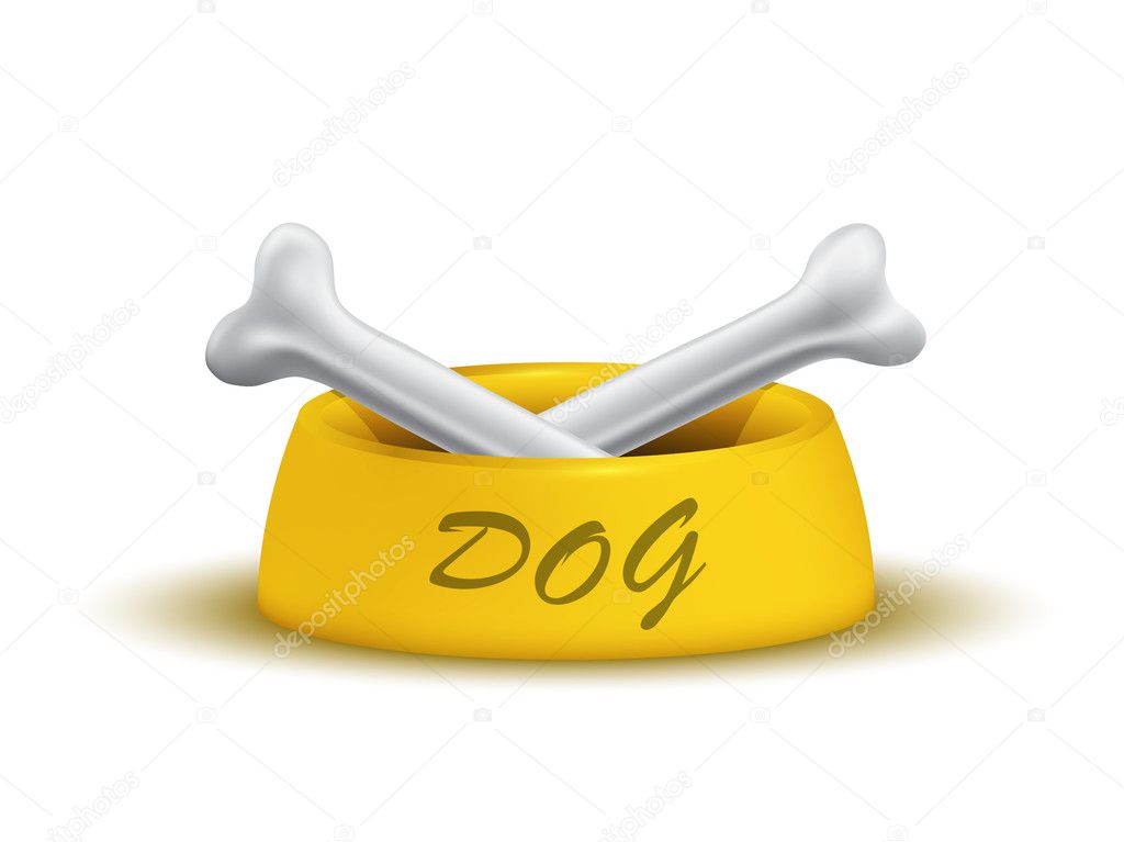 A dog bones in a golden bowl