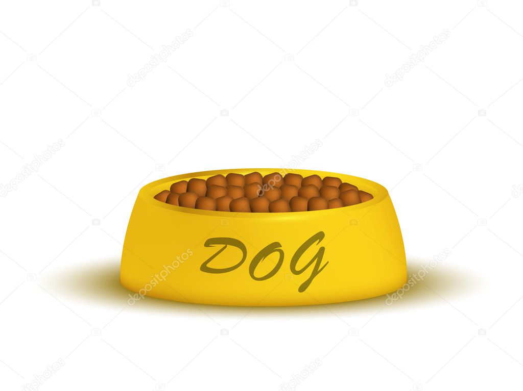 A dog food in a golden bowl