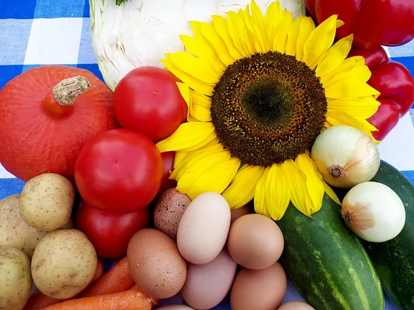 Stock image Fresh organic vegetables