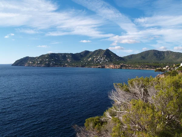 Mallorca Sahili — Stok fotoğraf