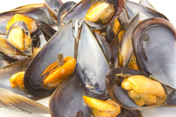 Steamed Mussels — Stock Photo, Image