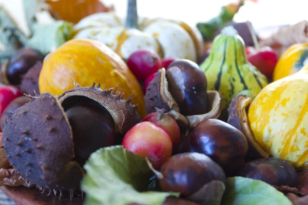 Fruits of autumn — Stock Photo, Image