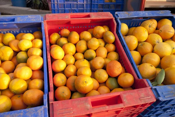 Oranges and tangerines — Stock Photo, Image
