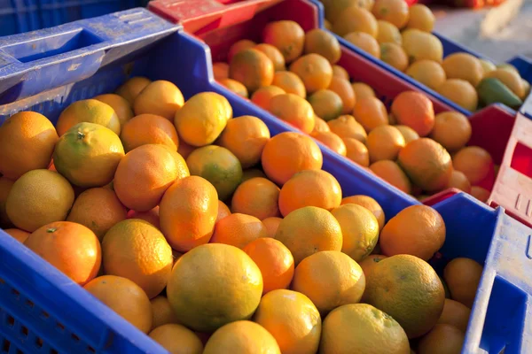 Oranges and tangerines — Stock Photo, Image