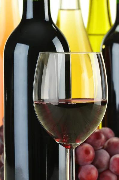 Kompozisyon farklı tür şarap şişeleri — Stok fotoğraf