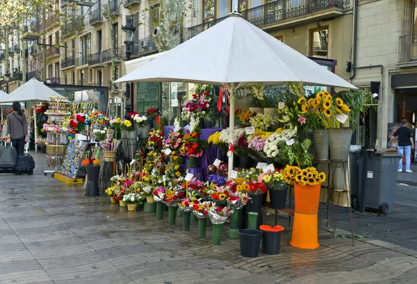 Çiçek rambla Barcelona — Stok fotoğraf