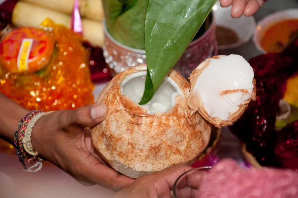 Thaise cultuur bruiloft voeders — Stockfoto