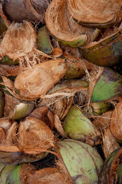 Frutta a guscio di cocco — Foto Stock