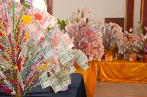 Darované peníze v thajském chrámu — Stock fotografie