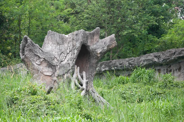 Тварина дерево будинок — стокове фото