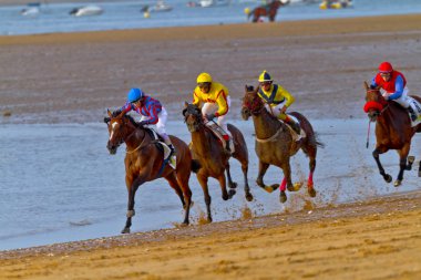 Horse race on Sanlucar of Barrameda, Spain, August 2011 clipart