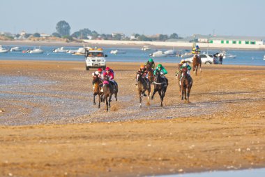 at yarışı sanlucar barrameda, İspanya, Ağustos 2008 tarihinde