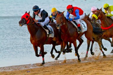 Horse race on Sanlucar of Barrameda, Spain, August 2011 clipart