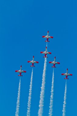 Patrulla Aguila