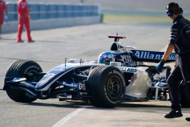 Williams f1, alex wurz, 2006 takım