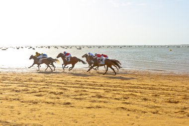 at yarışı sanlucar barrameda, İspanya, Ağustos 2011 tarihinde