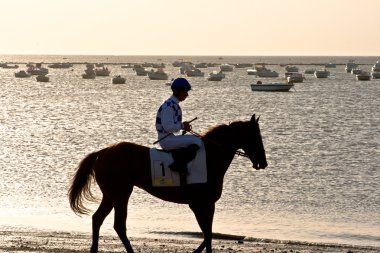 Horse race on Sanlucar of Barrameda, Spain, August 2011 clipart