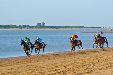 Horse race on Sanlucar of Barrameda, Spain, August 2011 clipart