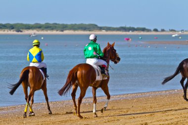 Horse race on Sanlucar of Barrameda, Spain, August 2011 clipart