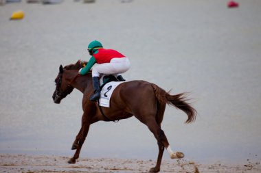 Horse race on Sanlucar of Barrameda, Spain, August 2010 clipart