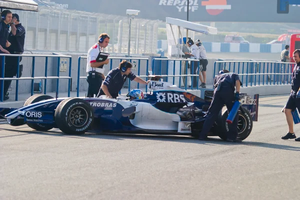 Équipe Williams F1, Alex Wurz, 2006 — Photo