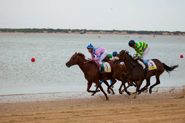 Corrida de cavalos em Sanlucar de Barrameda, Espanha, Agosto de 2010 — Fotografia de Stock