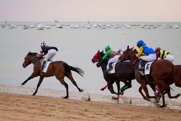 Corsa di cavalli a Sanlucar di Barrameda, Spagna, agosto 2010 — Foto Stock