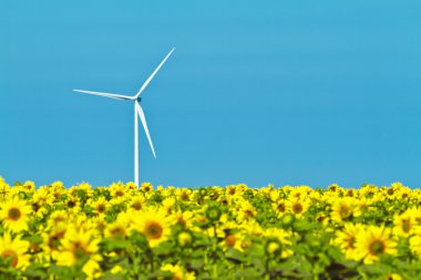 Windmills and sunflowers clipart