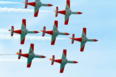 Patrulla Aguila