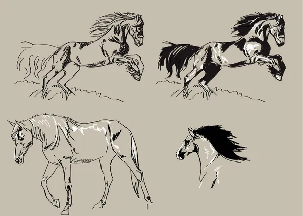 Hoppande hästar — Stockfoto