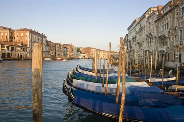 Гондоли на Гранд-каналі у Венеції — стокове фото