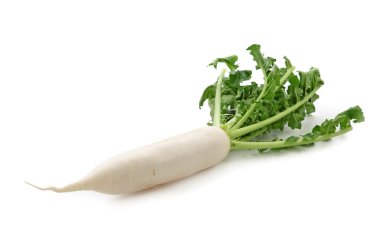 Daikon radishes clipart