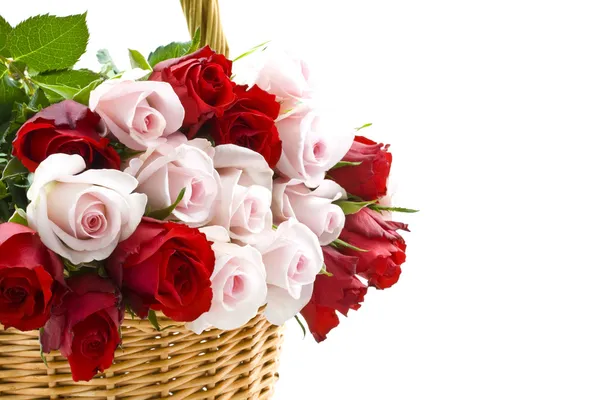 Rosas especiales para ti — Foto de Stock