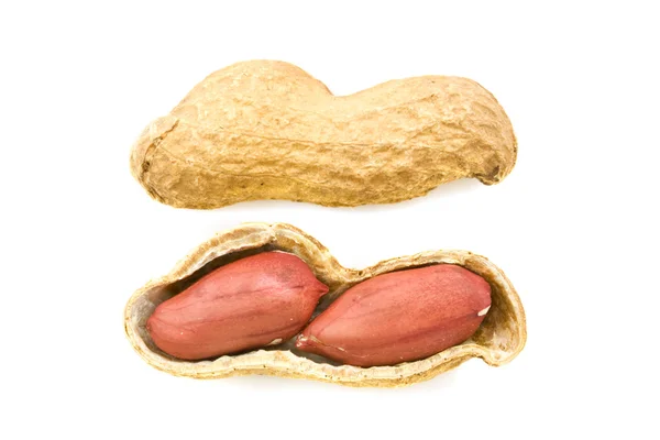 Echte Erdnüsse — Stockfoto