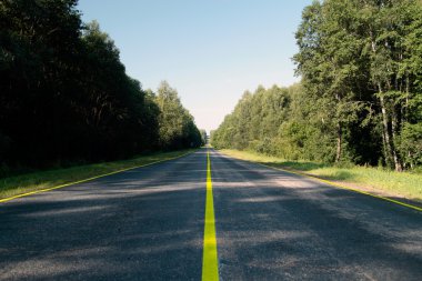 Boş yol orman içinden geçmektedir.