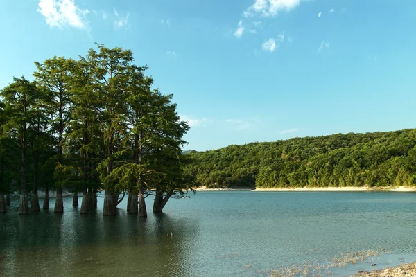 사이프러스 나무와 산 호수 — 스톡 사진