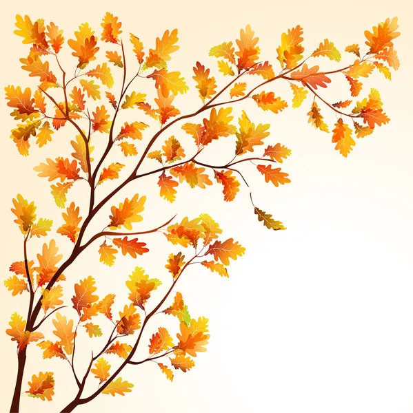 Autumn oak branch — Stock Vector