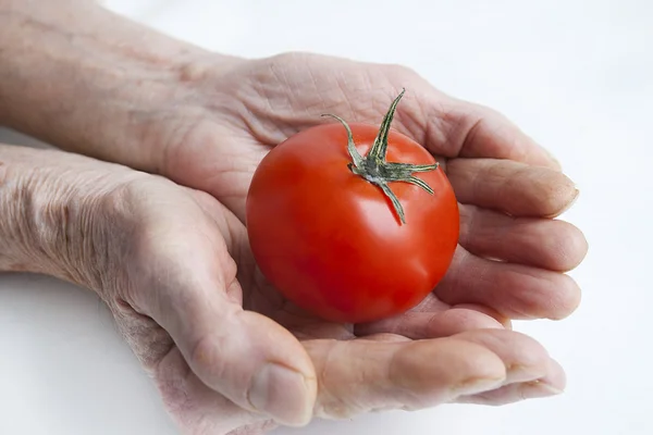 Tomate en manos viejas — Foto de Stock