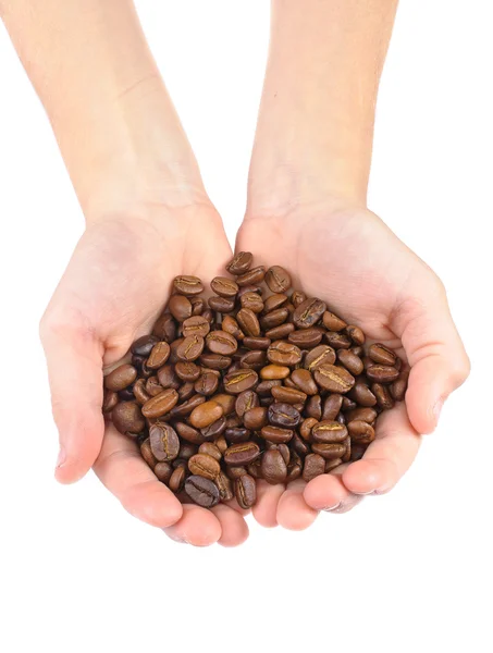 Кофейные зерна в руках у детей — стоковое фото