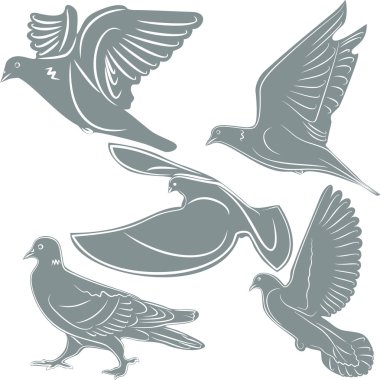 Güvercinler, kuş simgesi, illüstrasyon, hayvan