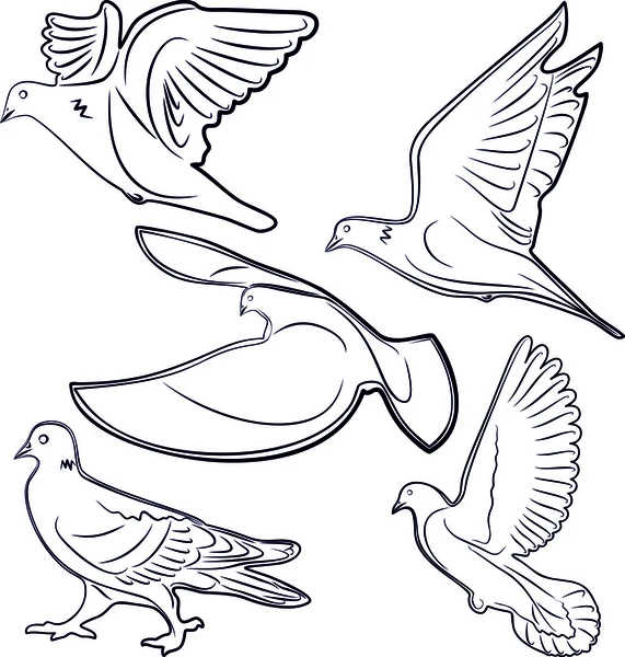 Голуби, символ птицы, иллюстрация, Животное — стоковый вектор