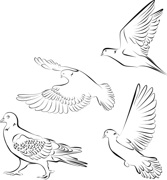 Pigeons, un symbole d'oiseau, l'illustration, Animaux — Image vectorielle