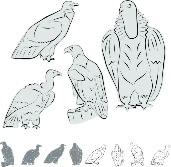 Eagle, fågel värd för himlen, stolt ROV fågel. Vektor illustration. — Stock vektor