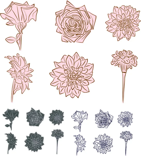 Иллюстрация цветения, иллюстрация цветов, натуральные цветы — стоковый вектор