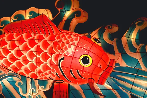 Japon balığı fener - Stok İmaj